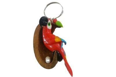 chaveiro amazonia