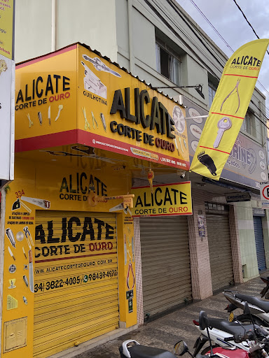 Alicate Corte De Ouro - Manutenção em Equipamentos Estéticos e Hospitalares